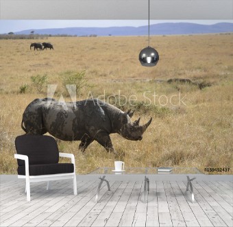 Picture of Den hotade och skygga spetsnoshrningen vandrar ut p den stafarikanska savannen